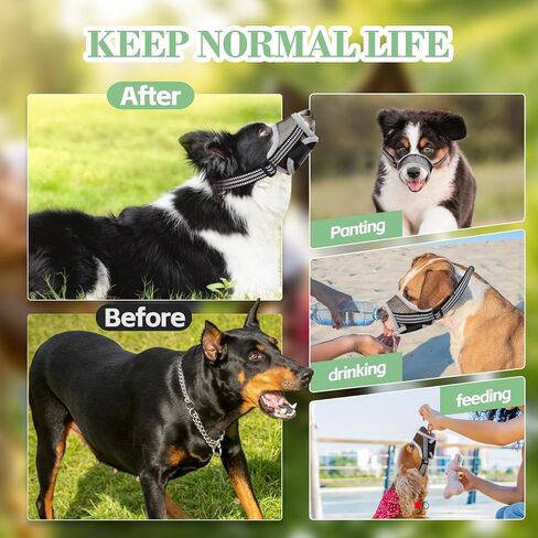 كمامة للكلاب، كمامة شبكية ناعمة قابلة للتنفس، كمامة شبكية هوائية للكلاب مع حزام عاكس وقابل للتعديل من أجل العض والمضغ، تسمح بالشرب، كمامة للكلاب الصغيرة (S، أسود) in Kuwait