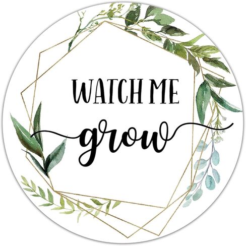 ملصقات Watch Me Grow، ملصقات هدايا لحفلات الزفاف الخضراء، ملصقات استحمام الطفل، هدايا، ديكورات، 5 سم، عبوة من 50 قطعة in Kuwait