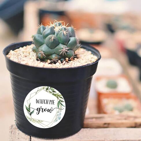 ملصقات Watch Me Grow، ملصقات هدايا لحفلات الزفاف الخضراء، ملصقات استحمام الطفل، هدايا، ديكورات، 5 سم، عبوة من 50 قطعة in Kuwait