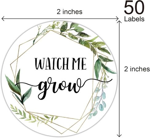 ملصقات Watch Me Grow، ملصقات هدايا لحفلات الزفاف الخضراء، ملصقات استحمام الطفل، هدايا، ديكورات، 5 سم، عبوة من 50 قطعة in Kuwait