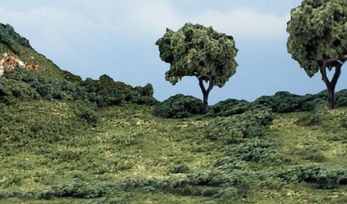 Low Growth Foliage 3.6 Cubic Inches- in Saudi Arabia