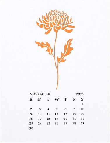 لوحات ضغط الأقحوان لشهر نوفمبر من Spellbinders BP-255 من مجموعة الأزهار طوال العام in Kuwait