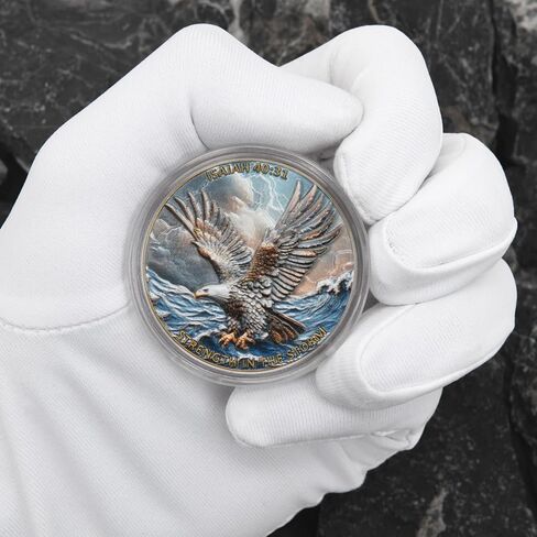 Patriotic Eagle Challenge Coin with Isaiah 40:31,“Strength in The Storm" American Freedom Commemorative Coin, Faith and Courage Gift for Patriots & Veterans in Saudi Arabia