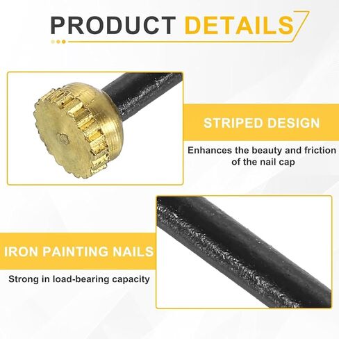 20Pcs Black Picture Hanging Nails, Brass Head Pins with Plastic Storage Box, Picture Nails for Wall Hanging Pictures Photo Frames (2.5x0.4cm) in Kuwait