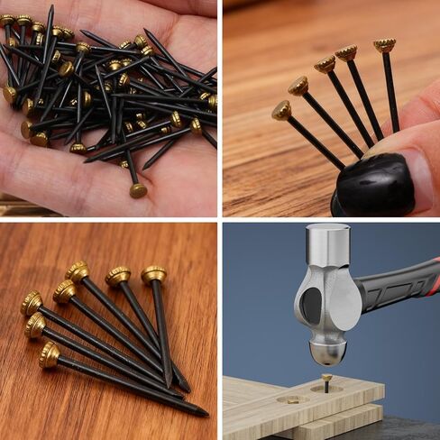 20Pcs Black Picture Hanging Nails, Brass Head Pins with Plastic Storage Box, Picture Nails for Wall Hanging Pictures Photo Frames (2.5x0.4cm) in Kuwait