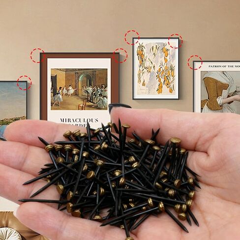 20Pcs Black Picture Hanging Nails, Brass Head Pins with Plastic Storage Box, Picture Nails for Wall Hanging Pictures Photo Frames (2.5x0.4cm) in Kuwait
