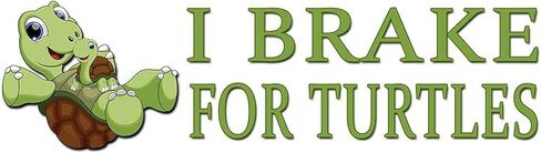 CafePress I Brake for Turtles Car Magnet 10 X 3 10 x 3 "، مغناطيس ممتص الصدمات in Kuwait
