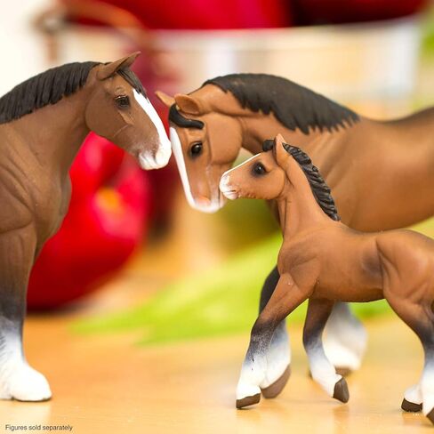 Safari Ltd. تمثال Clydesdale Foal - شخصية حصان بلاستيكية نابضة بالحياة مقاس 3.5 سم - لعبة تعليمية للأولاد والبنات والأطفال من سن 3 سنوات فما فوق in Kuwait