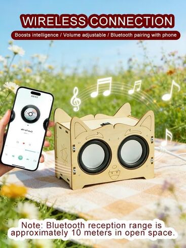 مجموعة سماعات بلوتوث DIY، حرفة تعلم الفيزياء التعليمية مع مكبرات صوت مزدوجة، البطارية غير متضمنة in Kuwait