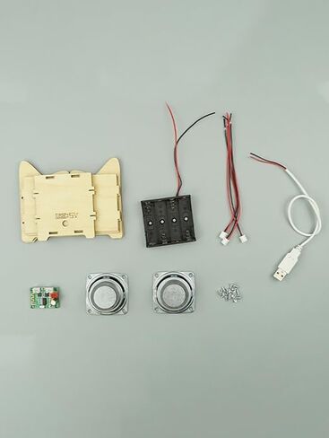 مجموعة سماعات بلوتوث DIY، حرفة تعلم الفيزياء التعليمية مع مكبرات صوت مزدوجة، البطارية غير متضمنة in Kuwait