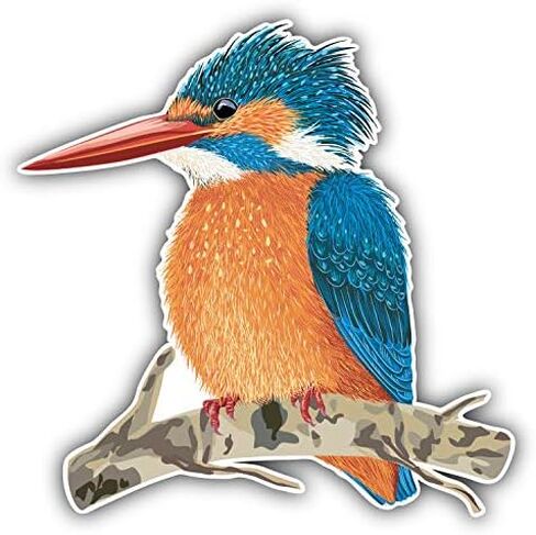 Magnet Kingfisher Bird Flexible Vinyl Magnet Waterproof Car Magnetic Bumper Sticker 5" in Kuwait