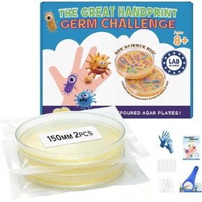 Bacteria Handprint Kit for Kids | 2 Giant 150mm Pre-Poured Agar Petri Dishes Science Fair Project | Microbiology Experiment Set with Magnifying Glass and Sterile Swabs | STEM Educational Gift in Saudi Arabia