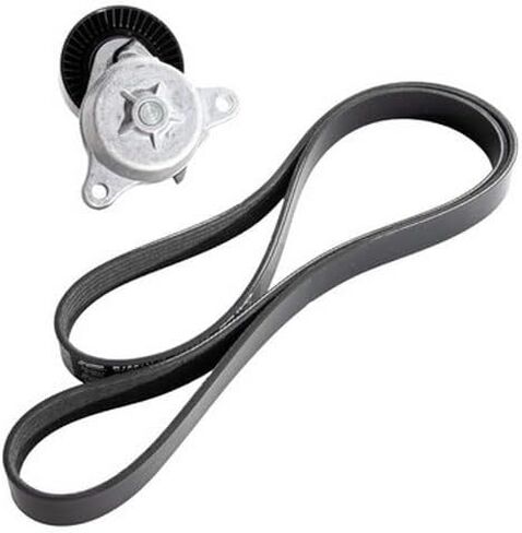 DAYCO 5060550K1 Serpentine Belt in Kuwait