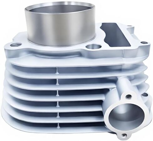 Motorcycle Cylinder Set Bore 67mm 200cc AG200 ZS200-GY LZX200GY-2 LY200 TW200 AG200E AG200F AG200FK 36X-11310-00 in Saudi Arabia