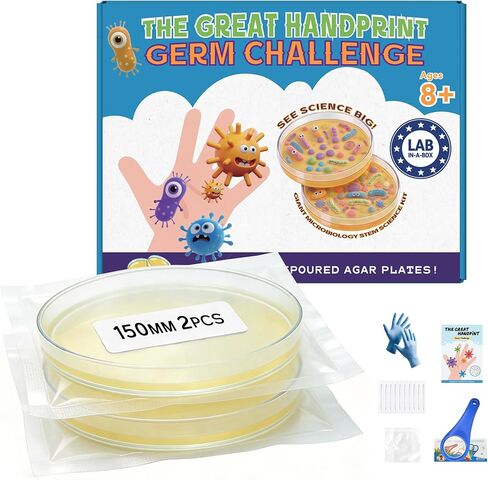 Bacteria Handprint Kit for Kids | 2 Giant 150mm Pre-Poured Agar Petri Dishes Science Fair Project | Microbiology Experiment Set with Magnifying Glass and Sterile Swabs | STEM Educational Gift in Saudi Arabia