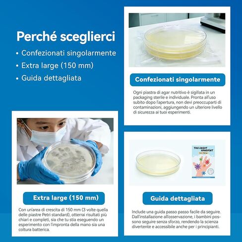 Bacteria Handprint Kit for Kids | 2 Giant 150mm Pre-Poured Agar Petri Dishes Science Fair Project | Microbiology Experiment Set with Magnifying Glass and Sterile Swabs | STEM Educational Gift in Saudi Arabia