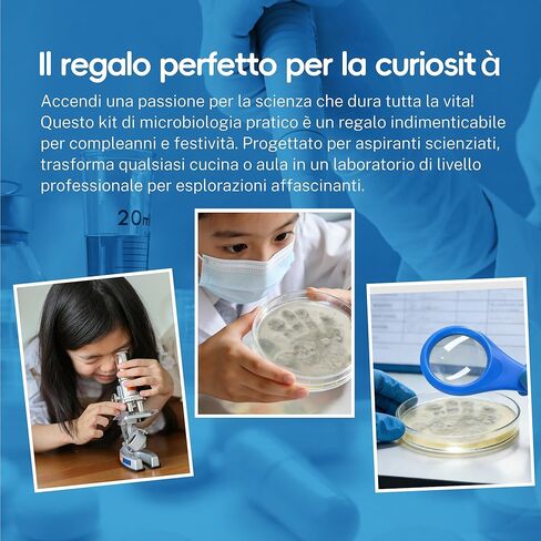 Bacteria Handprint Kit for Kids | 2 Giant 150mm Pre-Poured Agar Petri Dishes Science Fair Project | Microbiology Experiment Set with Magnifying Glass and Sterile Swabs | STEM Educational Gift in Saudi Arabia