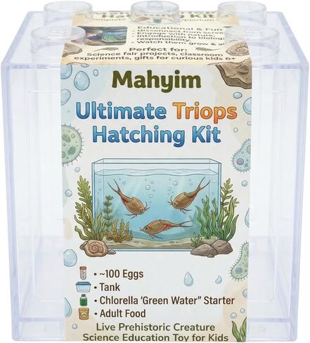 Ultimate Triops Hatching Kit - Complete Aquarium Set - HIGH-Success Rate - in Saudi Arabia
