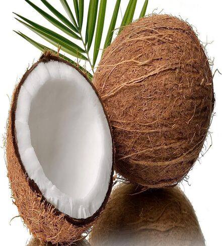 Coconut Fragrance Oil (16 oz Bottle) for Candle Making, Soap Making, Tart Making, Room Sprays, Lotions, Car Fresheners, Slime, Bath Bombs, Warmers… in Kuwait