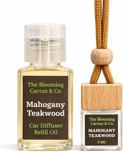 Car Air Freshener, Luxury Car Diffuser with 1 Oz Refill, Phthalate Free Fragrance – Long Lasting Scent | Refillable Hanging Air Freshener for Car, Home, Office | Made in USA (Black Ice (Type) in Saudi Arabia