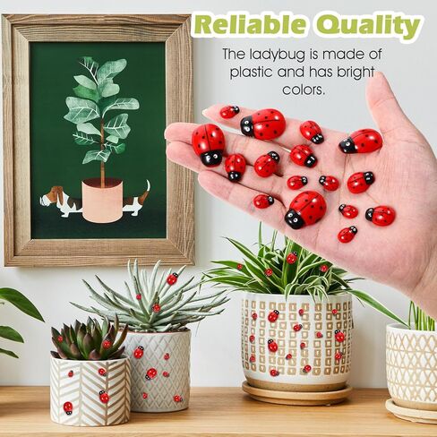 100 Pieces Ladybug Decor, Lady Bug Accessories Tiny Resin Ladybug Decor, 3 Sizes Mini Lady Bugs Embellishments for DIY Crafts, Home Decoration, Jewelry, Nail Charms and Party in Kuwait