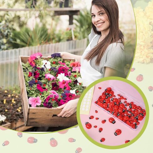 100 Pieces Ladybug Decor, Lady Bug Accessories Tiny Resin Ladybug Decor, 3 Sizes Mini Lady Bugs Embellishments for DIY Crafts, Home Decoration, Jewelry, Nail Charms and Party in Kuwait