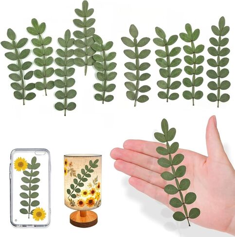 Natural Pressed Dried Leaves for Resin Crafts Embellishment, 42PCS Real Dry Prickly Leaves for Resin Art DIY Craft Card Scrapbooking Candle Making Phone Case Home Decoration in Kuwait