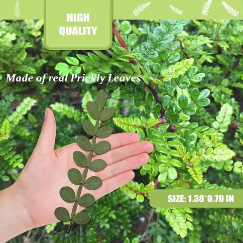 Natural Pressed Dried Leaves for Resin Crafts Embellishment, 42PCS Real Dry Prickly Leaves for Resin Art DIY Craft Card Scrapbooking Candle Making Phone Case Home Decoration in Kuwait
