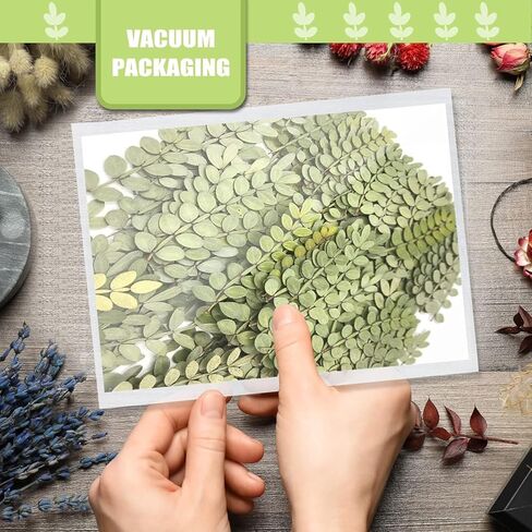 Natural Pressed Dried Leaves for Resin Crafts Embellishment, 42PCS Real Dry Prickly Leaves for Resin Art DIY Craft Card Scrapbooking Candle Making Phone Case Home Decoration in Kuwait