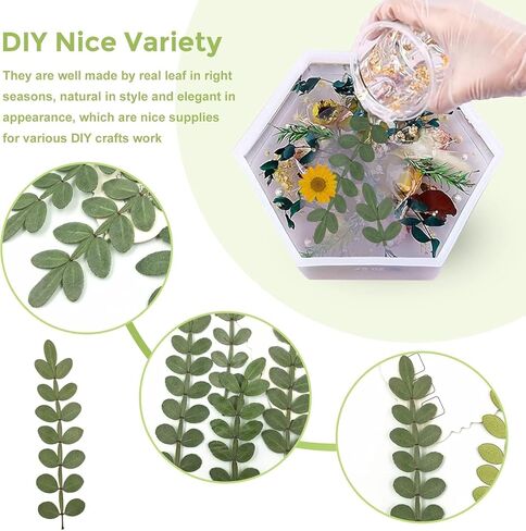 Natural Pressed Dried Leaves for Resin Crafts Embellishment, 42PCS Real Dry Prickly Leaves for Resin Art DIY Craft Card Scrapbooking Candle Making Phone Case Home Decoration in Kuwait