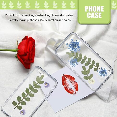 Natural Pressed Dried Leaves for Resin Crafts Embellishment, 42PCS Real Dry Prickly Leaves for Resin Art DIY Craft Card Scrapbooking Candle Making Phone Case Home Decoration in Kuwait