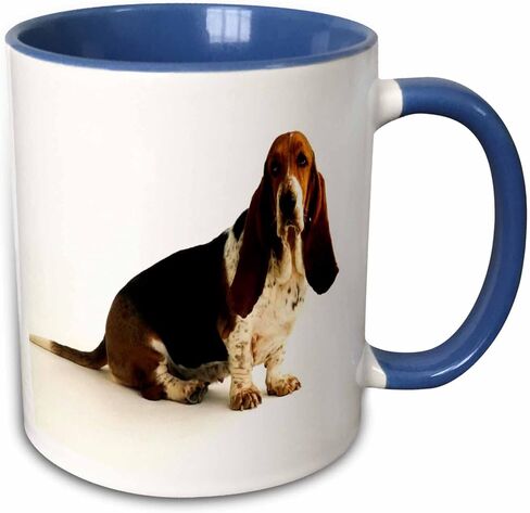 3dRose mug_80272_4 "Handsome Basset Hound" Two Tone Black Mug, 11 oz, Multicolor in Saudi Arabia