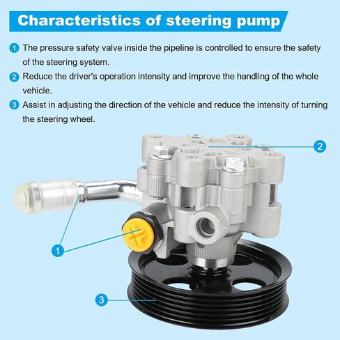 Power Steering Pump with Pulley Compatible with Ram C/V Dodge Grand Caravan, Compatible with Chrysler Town & Country 3.6L V6 2011 2012 2013 2014 2015 2016, Replacement for 5151727AC, 20-1042 in Saudi Arabia
