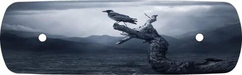 أجزاء دورة Kustom غطاء منقي هواء أسود من Raven. يستبدل المخزون هارلي ديفيدسون M8 / 114 إدراج. in Kuwait