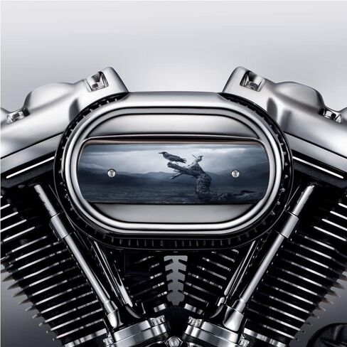 أجزاء دورة Kustom غطاء منقي هواء أسود من Raven. يستبدل المخزون هارلي ديفيدسون M8 / 114 إدراج. in Kuwait