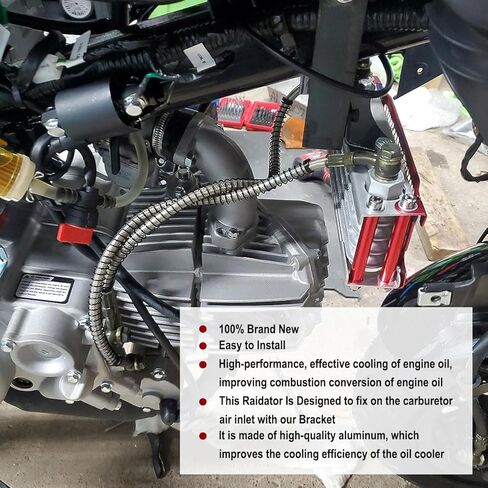 Oil Cooler Cooling Radiator Engine Kit for CRF XR KLX 50cc 70cc 90cc 110cc 125cc 140cc Apollo Coolster Kayo SSR Taotao Motorcycle Dirt Pit Bike Red in Kuwait