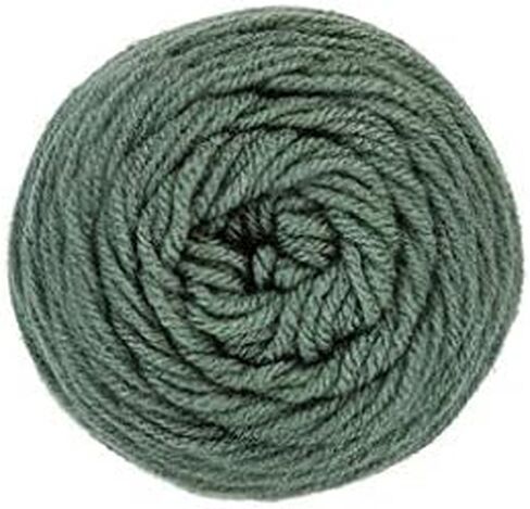 Red Heart Super Saver Yarn (4-Pack of 7oz Skeins) (Light Sage) in Kuwait