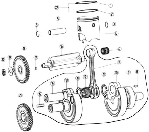 Crankshaft Assembly Connecting Rod With Bearing Compatible With DT230 MT250 GPX TSE250R 2T Water-Cooled in Saudi Arabia