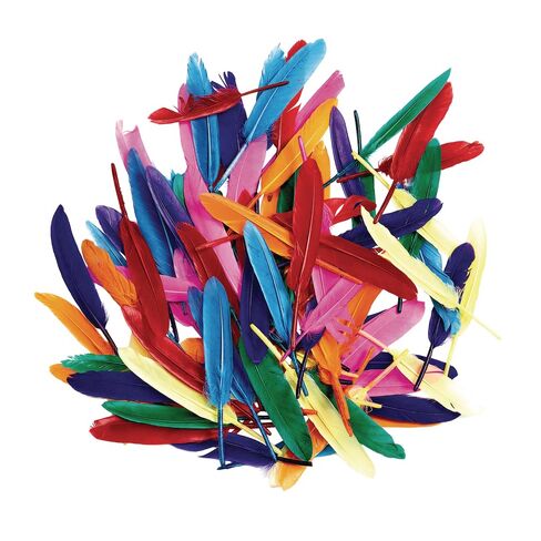 Colorations Rainbow Craft Feathers Classroom Pack, 8 oz – Colored Feathers for Arts & Crafts, Includes Zip-Top Bag for Easy Storage – Classroom Supplies for School and Learning at Home in Saudi Arabia