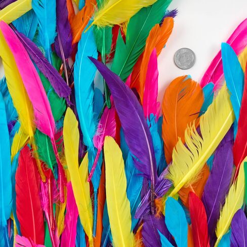 Colorations Rainbow Craft Feathers Classroom Pack, 8 oz – Colored Feathers for Arts & Crafts, Includes Zip-Top Bag for Easy Storage – Classroom Supplies for School and Learning at Home in Saudi Arabia