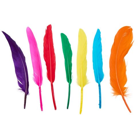 Colorations Rainbow Craft Feathers Classroom Pack, 8 oz – Colored Feathers for Arts & Crafts, Includes Zip-Top Bag for Easy Storage – Classroom Supplies for School and Learning at Home in Saudi Arabia