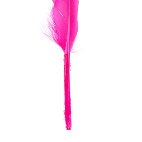 Colorations Rainbow Craft Feathers Classroom Pack, 8 oz – Colored Feathers for Arts & Crafts, Includes Zip-Top Bag for Easy Storage – Classroom Supplies for School and Learning at Home in Saudi Arabia