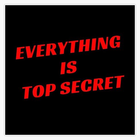 Magnet Everything is Top Secret Magnetic Vinyl Sticker Decal 5" in Kuwait