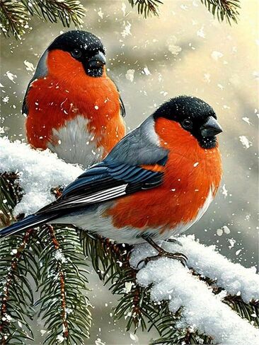 Formeydemi Adults Paint by Number Kits,Painting by Number Kits on Canvas,Large Color by Numbers Adult Watercolor Gifts for Friends Wall Decor (Eagle) in Saudi Arabia