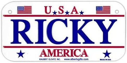 Gift House Ricky USA Bike Plate - Made in USA, 3"x6" Embossed Aluminum in Saudi Arabia
