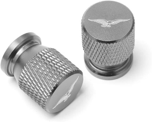 2 Pieces for Moto Guzzi Breva 850 1100 1200 Griso BREVA 1100 Norge 1200 GT8V BREVA 750 V7 MGX21 Eldorado AUDACE Tire Valve caps-Red in Saudi Arabia