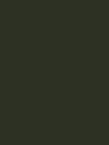 Design Master 721 Moss Green Colortool Spray in Saudi Arabia