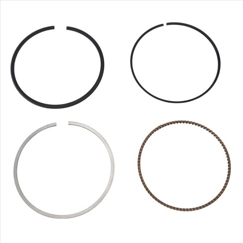 Piston Segment Parts 11257566479 Compatible With N12 N13 N16 N18 116 316 in Saudi Arabia