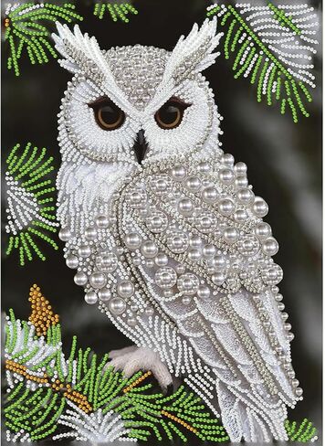 GEMFAMILY Owl Diamond Art Painting Kits for Adults,Animals Birds Pearl Painting Kits for Special Shape,DIY Pearl Diamond Dots Gem Art Craft for Home Decor 12 x 16 inch in Kuwait