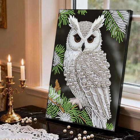 GEMFAMILY Owl Diamond Art Painting Kits for Adults,Animals Birds Pearl Painting Kits for Special Shape,DIY Pearl Diamond Dots Gem Art Craft for Home Decor 12 x 16 inch in Kuwait